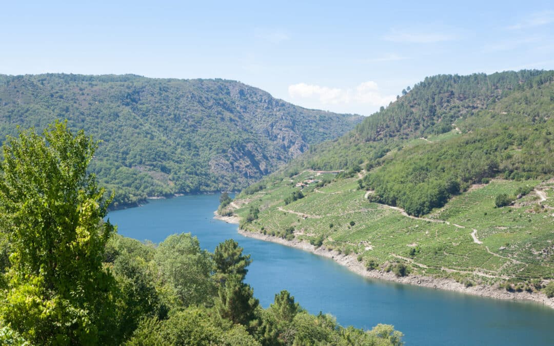 Kreiswerke Cochem-Zell: Sichere Trinkwasserversorgung für eine ganze Region – vollständig modernisiert im laufenden Betrieb