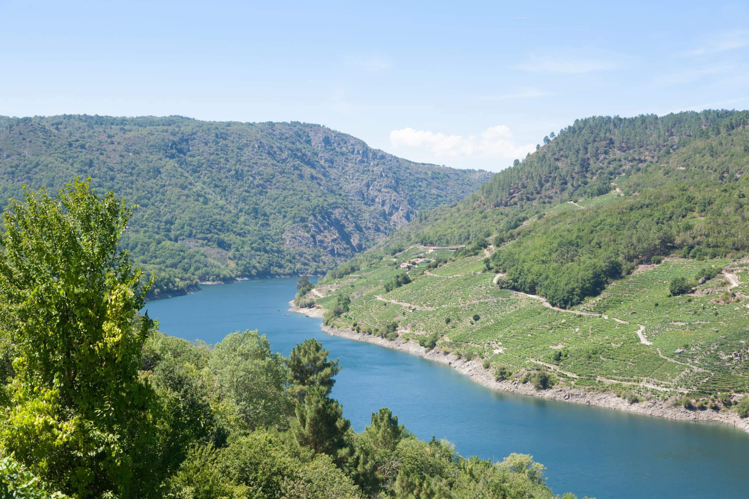 Flusslandschaft im Moseltal im Versorgungsgebiet der Kreiswerke Cochem-Zell